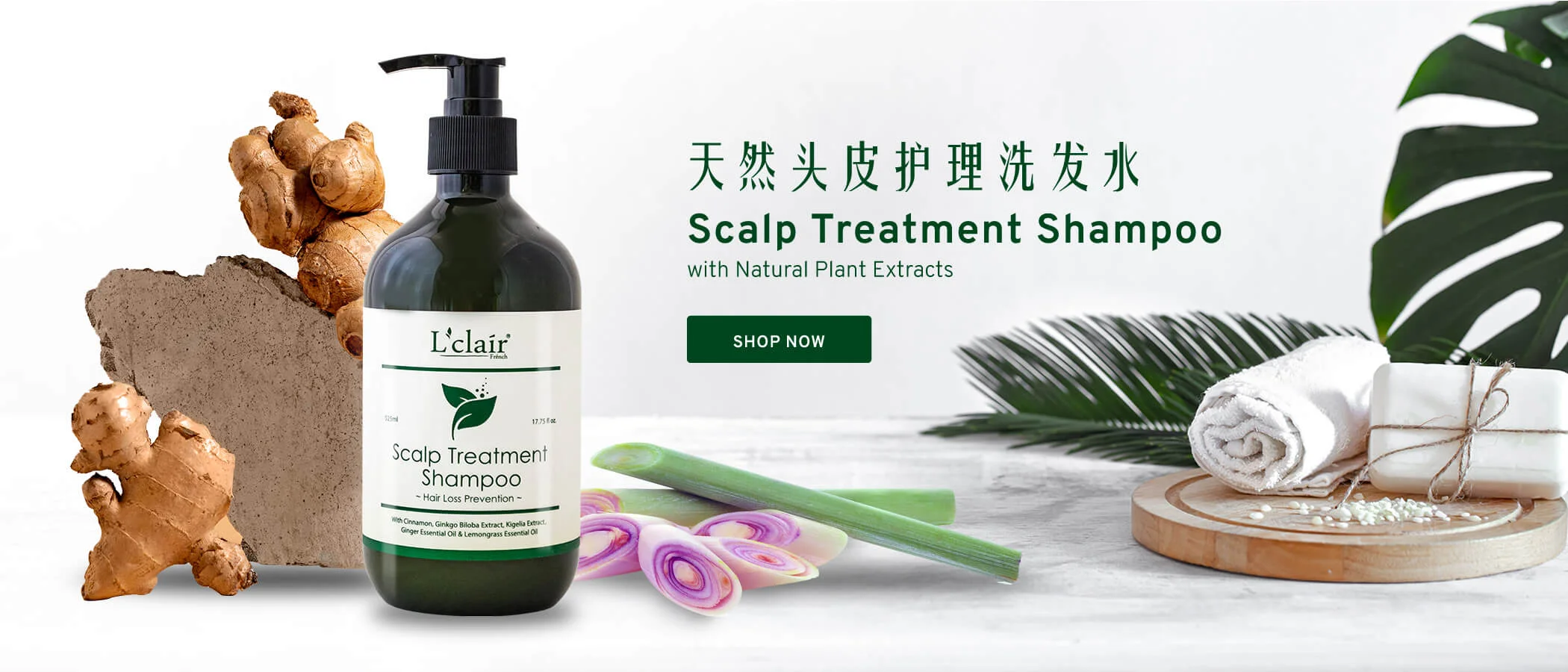 Natural Scalp Treatment Shampoo